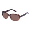 Stapleton Sunglasses - Chocolate 2 Stapleton Sunglasses - Chocolate -Trendy Beach Hat TCC2231002 1STAPLETON ca0060e6 3364 4273 b54f fa63aea0f411